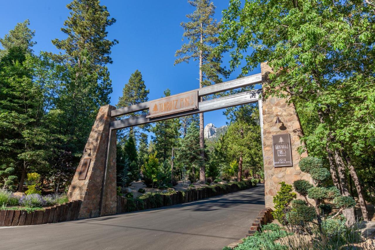 Tahquitz Pines Retreat Hotel Айдълуайлд Екстериор снимка